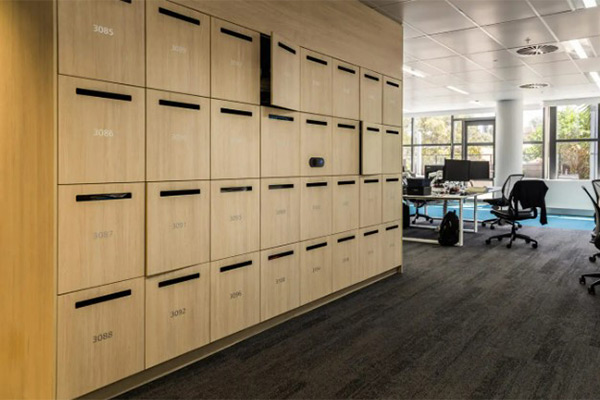 Custom Office Storage