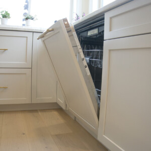 Dishwasher Panel