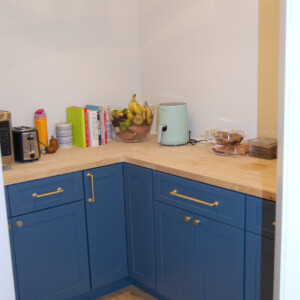 Pantry - Fabuwood Galaxy in Denim Blue by McCloy Construction
